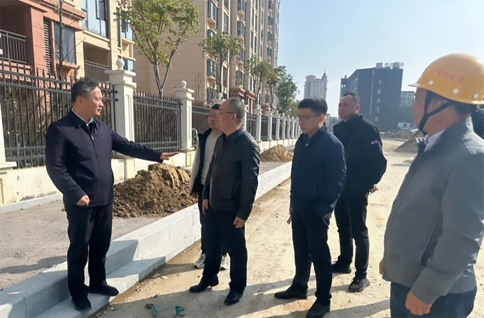 青山湖區(qū)黨委副書記、區(qū)長楊育星到利民路項目調(diào)研